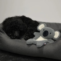 RUKKA Pets Calm Koala Toy Kuscheltier grau