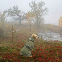 Rukka Pets Ripple Regenjacke Regenmantel olivgrün 30