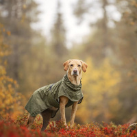 Rukka Pets Ripple Regenjacke Regenmantel olivgrün 45