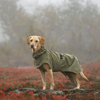 Rukka Pets Ripple Regenjacke Regenmantel olivgrün 65