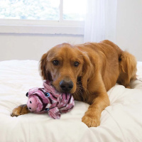 KONG Stripes Low Stuff Bauernhoftiere Plüschtiere Esel