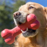 KONG  Goodie Bone leckerchen Knochen rot XL