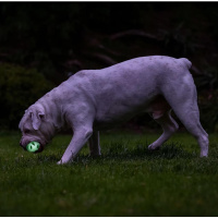Chuckit! Air Glow Fetch Ball werfen und apportieren auch im Dunkeln M-1er Pack