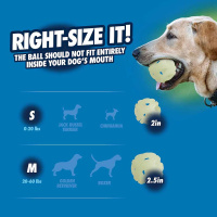 Chuckit! Air Glow Fetch Ball werfen und apportieren auch im Dunkeln M-2er Pack