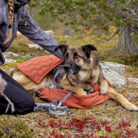 Hurtta Schlafsack Sleepover für Hunde cinnamon S