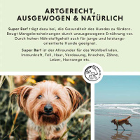 ANNIMALLY Super Barf Barfzusätze für Hunde 500g
