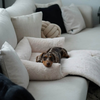 District 70 NUZZLE Sofa Bed Hundebett Merengue L