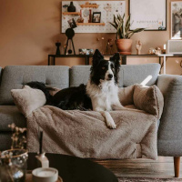 District 70 NUZZLE Sofa Bed Hundebett Taupe M