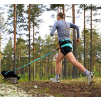 Non-stop dogwear CaniX Belt 2.0 Laufgurt Leinengurt aqua/pink S 50-78cm