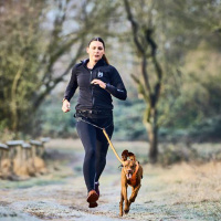 Non-stop dogwear CaniX Belt 2.0 Laufgurt Leinengurt aqua/pink L 90-130cm