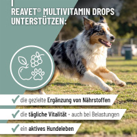 REAVET Multivitamin Drops für Hunde