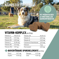 REAVET Multivitamin Drops für Hunde 350g