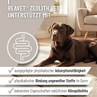 REAVET Zeolith VET Pulver unterstützt die Verdauung für Hunde
