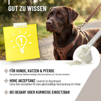 REAVET Zeolith VET Pulver unterstützt die Verdauung für Hunde 700g