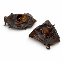 PITUPITA Pferdekopfhaut Platten klein 800g