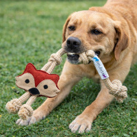 PITUPITA Wildleder Spielzeug Fuchs FOXY