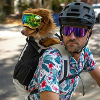 K9 Sport Sack® Knavigate Hunderucksack Lunar Rock-grau M