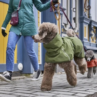 Hurtta Mudventure Coat ECO Regenmantel Forest oliv 50