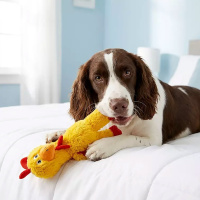 KONG Knots Huhn Kuscheltier für deinen Hund
