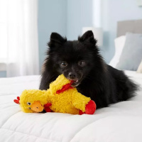 KONG Knots Huhn Kuscheltier für deinen Hund S