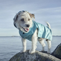 Rukka Pets Regenjacke Regenmantel Stream in blau 30 cm