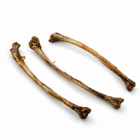 Straußen Flügelknochen extra hart für Hunde