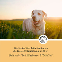 ANNIMALLY Senior Vital Tabletten für Hunde