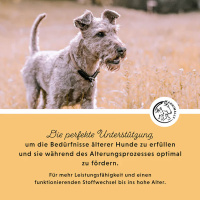 ANNIMALLY Senior Vital Tabletten für Hunde