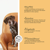 ANNIMALLY Senior Vital Tabletten für Hunde