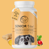 ANNIMALLY Senior Vital Tabletten für Hunde 120 Tabletten