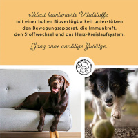 ANNIMALLY Senior Vital Tabletten für Hunde 120 Tabletten