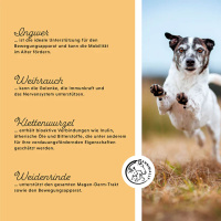 ANNIMALLY Senior Vital Tabletten für Hunde 120 Tabletten
