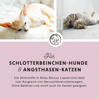 ANNIMALLY Relax Flüssig Rescue Tropfen für Hunde 250 ml