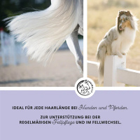 ANNIMALLY Hair Care Pro Spray für Hunde