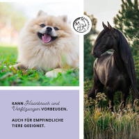 ANNIMALLY Hair Care Pro Spray für Hunde