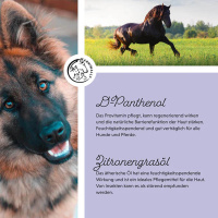 ANNIMALLY Hair Care Pro Spray für Hunde