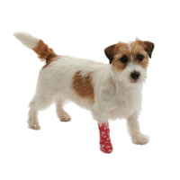 KRUUSE Chew-Stop Selbsthaftender Bitter-Verband 4,5M
