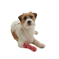 KRUUSE Chew-Stop Selbsthaftender Bitter-Verband 5CM/4,5M