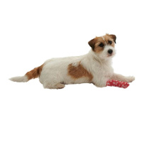 KRUUSE Chew-Stop Selbsthaftender Bitter-Verband 5CM/4,5M