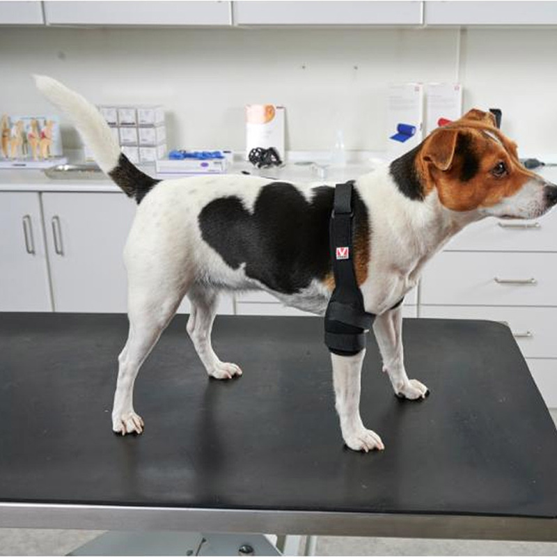 KRUUSE Rehab Pro Ellenbogenstütze Ellenbogenschoner für Hunde