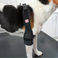 KRUUSE Rehab Pro Ellenbogenstütze Ellenbogenschoner für Hunde Links XXS