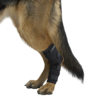 KRUUSE Rehab Sprunggelenkschutz für Hunde M