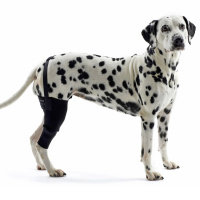KRUUSE Rehab Knieschutz für Hunde Links S