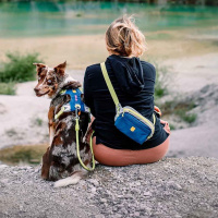 Woolly Wolf Alpha 360 Hip Bag Hüfttasche deep teal blau