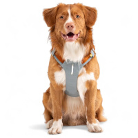 Woolly Wolf Alpha 360 Hundegeschirr für Hunde Glacier Green mint S