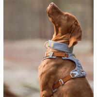 Woolly Wolf Alpha 360 Hundegeschirr für Hunde Glacier Green mint M