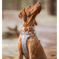 Woolly Wolf Alpha 360 Hundegeschirr für Hunde Glacier Green mint M