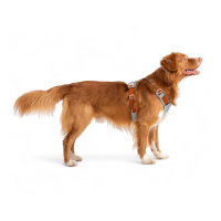 Woolly Wolf Alpha 360 Hundegeschirr für Hunde Glacier Green mint L