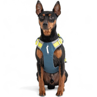 Woolly Wolf Alpha 360 Hundegeschirr für Hunde Deep Teal petrol S