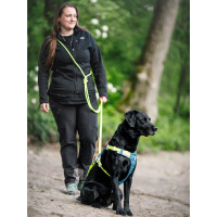 Woolly Wolf Alpha 360 Hundegeschirr für Hunde Deep Teal petrol S